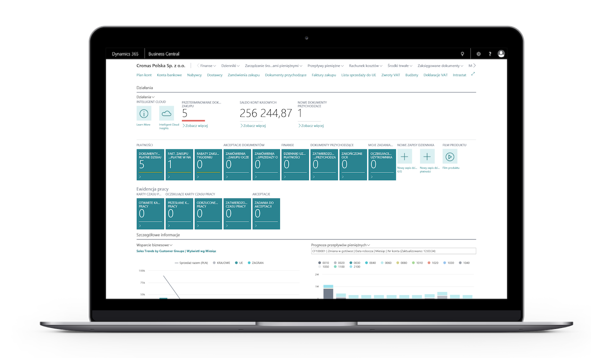 Dynamics 365 Business Central dashboard