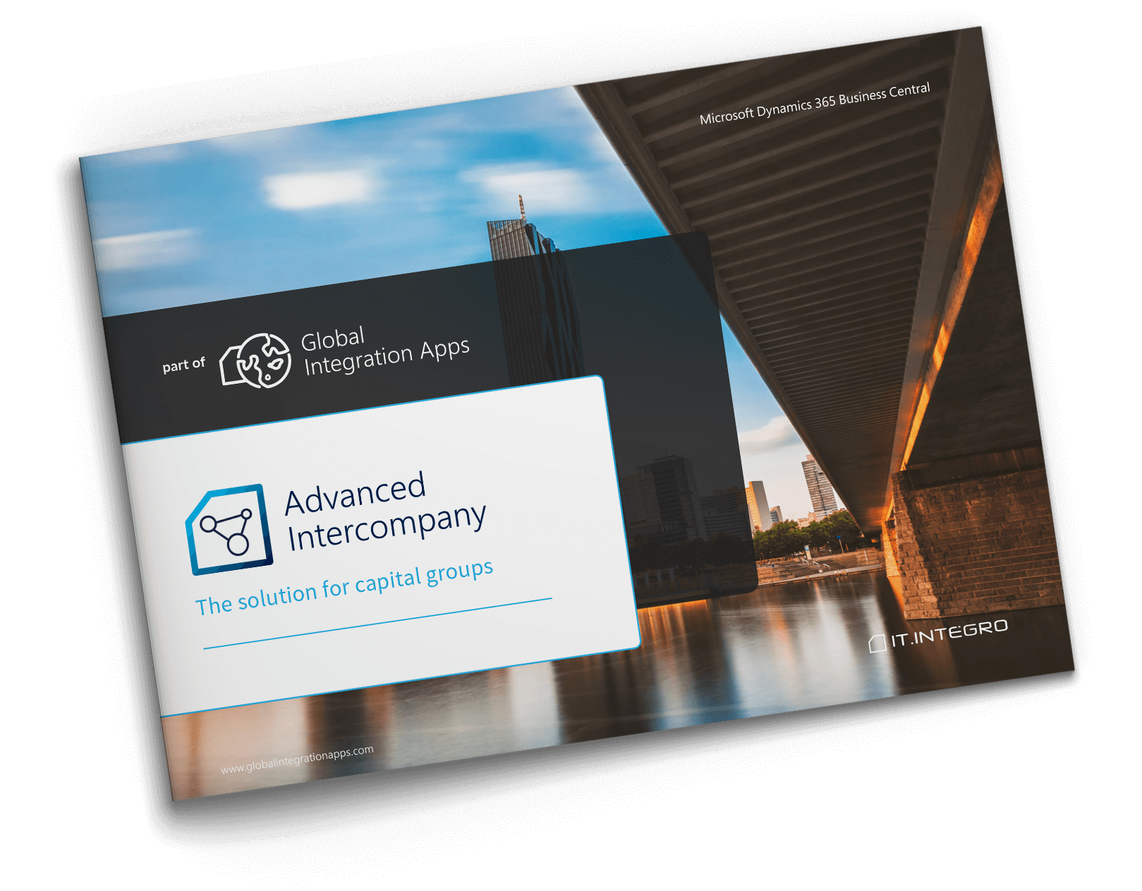 Advanced Intercompany e-book