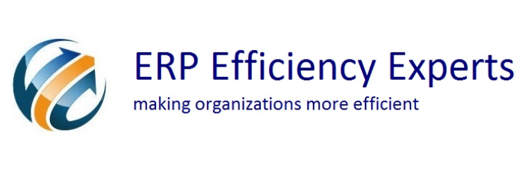 ERP Efficiency Experts